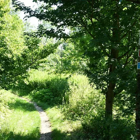 Am-albtrauf *